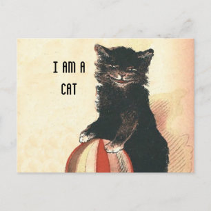 Postal Gato Negro Vintage HALLOWEEN