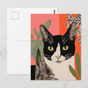 Postal Gato negro y blanco
