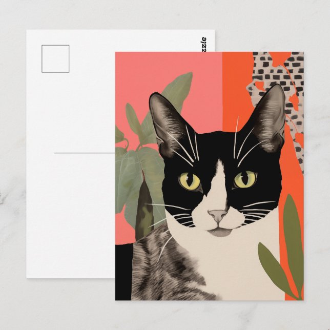 Postal Gato negro y blanco (Anverso / Reverso)