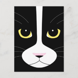 Postal Gato negro y blanco