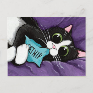 Postal Gato negro y blanco con almohada de color - Arte d