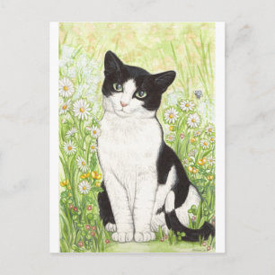 Postal Gato negro y blanco con maricas