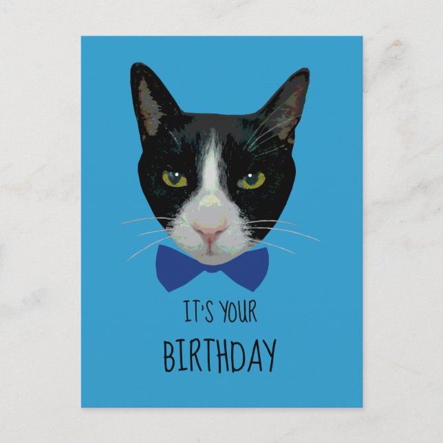 Postal Gato negro y blanco de Tuxedo - es tu cumpleaños (Anverso)