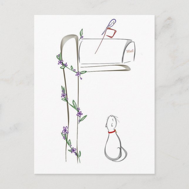 Postal Gato observando pájaro en un buzón (Anverso)