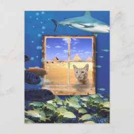 Postal Gato observando peces bajo el mar