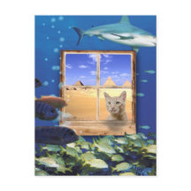 Gato observando peces bajo el mar