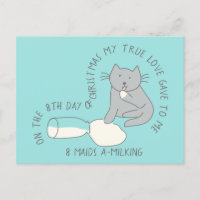 Gato Octavo Día 8 Empleadas domésticas Navidades