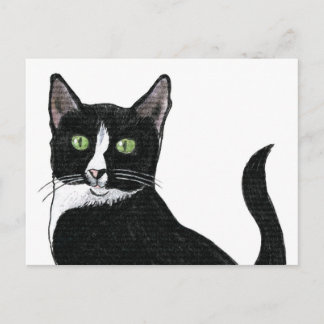 Postal Gato Ojo Verde Negro y Blanco