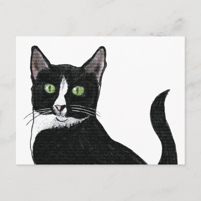 Postal Gato Ojo Verde Negro y Blanco (Anverso)