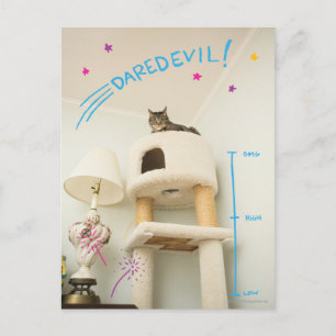 Postal Gato oscuro