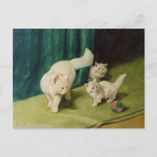 Postal Gato persa blanco con dos gatitos (Anverso)