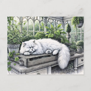 Postal Gato persa blanco descansando en un invernadero il
