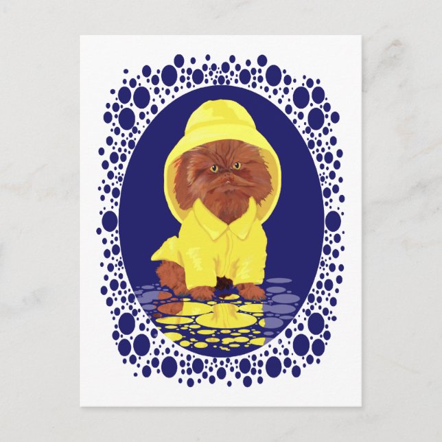Postal Gato Persa Pelilargo Rojo Lluvias De Abril (Anverso)