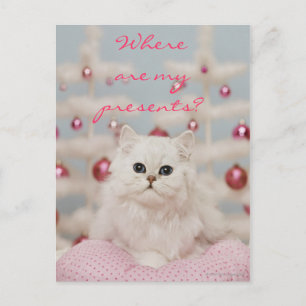 Postal Gato persa sentado en una almohada rosa