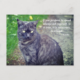 Postal Gato posando en una cita budista motivacional