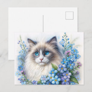 Postal Gato Ragdoll con nomeolvides