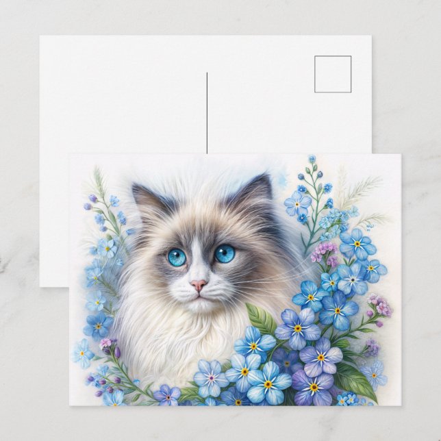Postal Gato Ragdoll con nomeolvides (Anverso / Reverso)