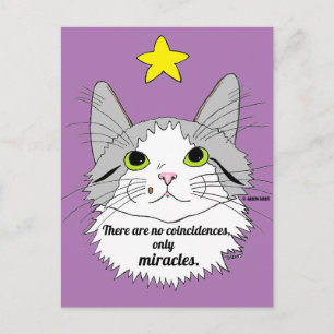 Postal Gato Ragdoll Inspirador Solo Milagros