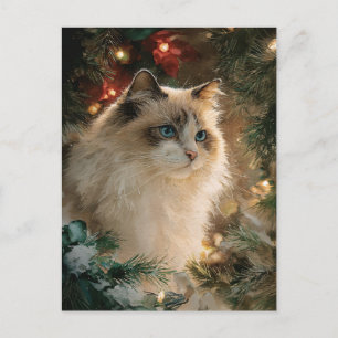 Postal Gato Ragdoll Navidad