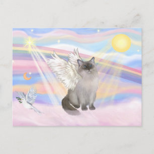 Postal Gato Ragdoll (Punto Azul) Ángel - Nubes