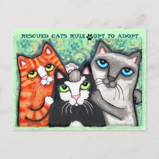 Postal Gato rescatado/del refugio