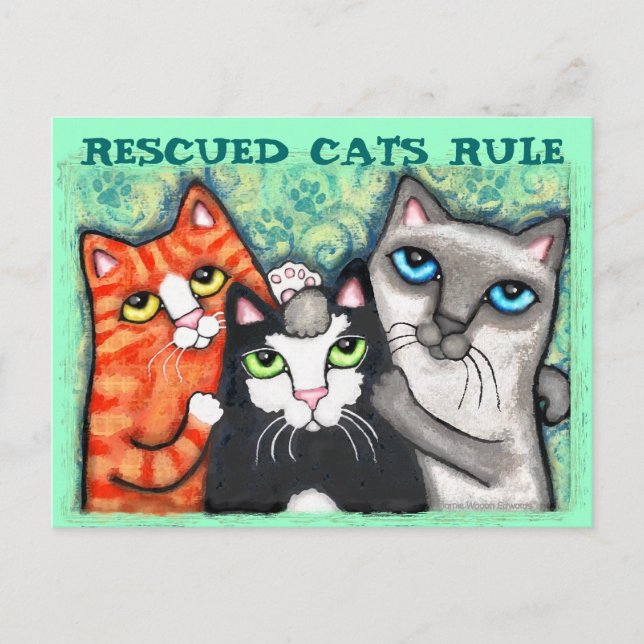 Postal Gato rescatado/refugio (Anverso)