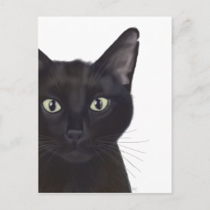 Postal Gato, retrato de Gus