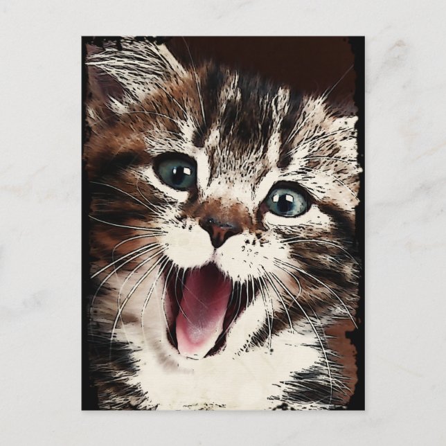 Postal Gato risible (Anverso)