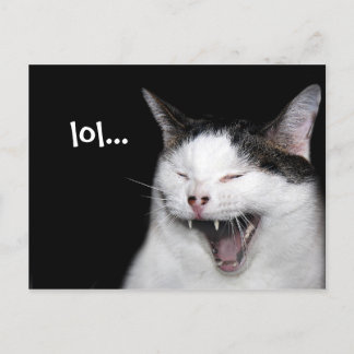 Postal Gato risible