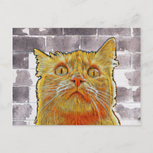Postal Gato Rojo en Problemas.