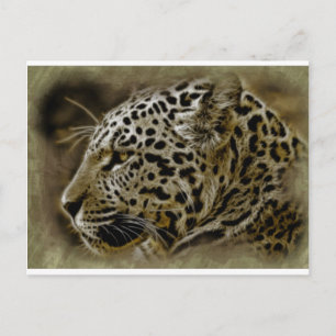Postal Gato salvaje de Jaguar destaca destino safari afri