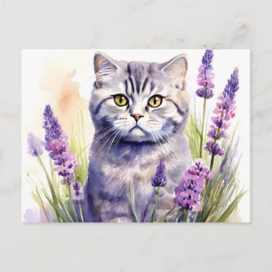 Postal Gato Scottish Fold acuarela en campo de lavanda