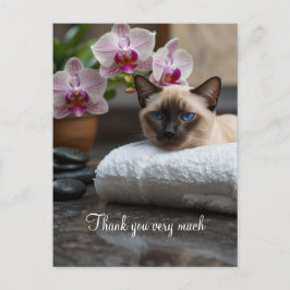 Postal Gato siamés en Spa Gracias