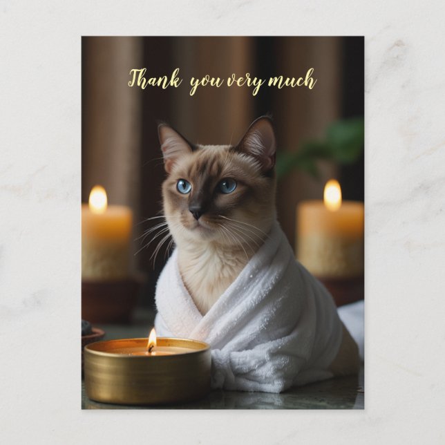 Postal Gato siamés en Spa muchas gracias  (Anverso)