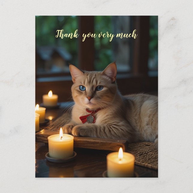 Postal Gato siamés en Spa muchas gracias (Anverso)