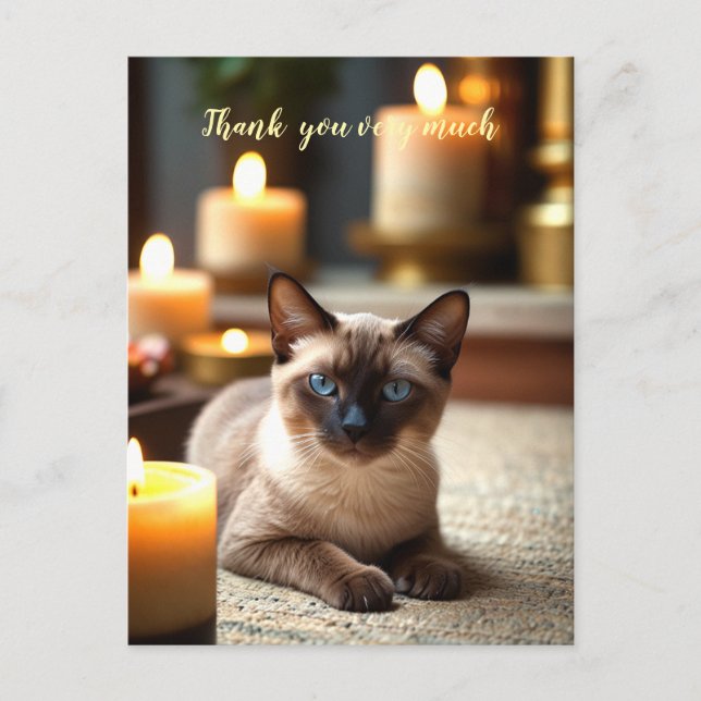 Postal Gato siamés en Spa muchas gracias (Anverso)