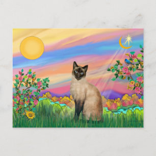Postal Gato siamés - Estrella diurna