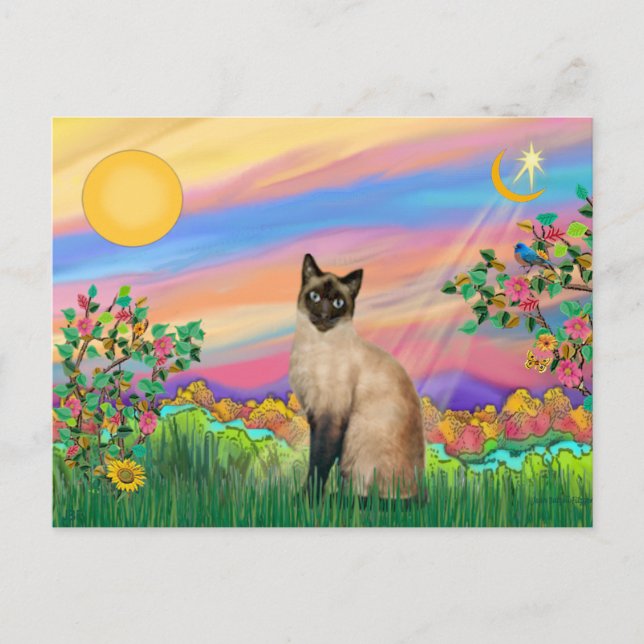 Postal Gato siamés - Estrella diurna (Anverso)