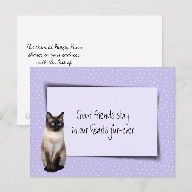 Postal Gato Siamés Pérdida de Mascota Por Veterinario (Anverso / Reverso)