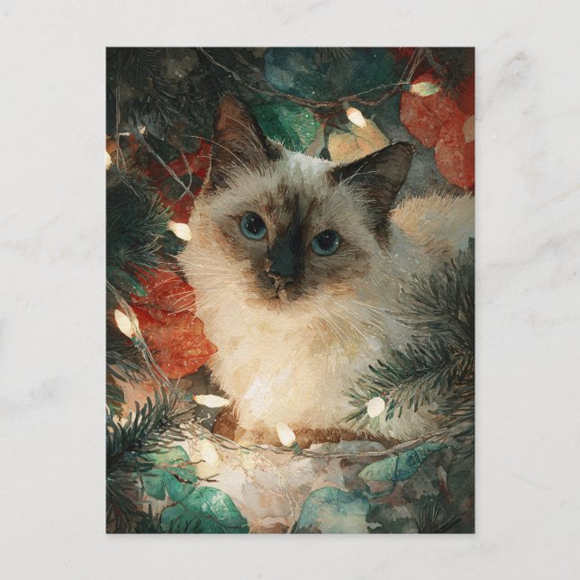 Postal Gato siamés puntiagudo de Navidad (Anverso)