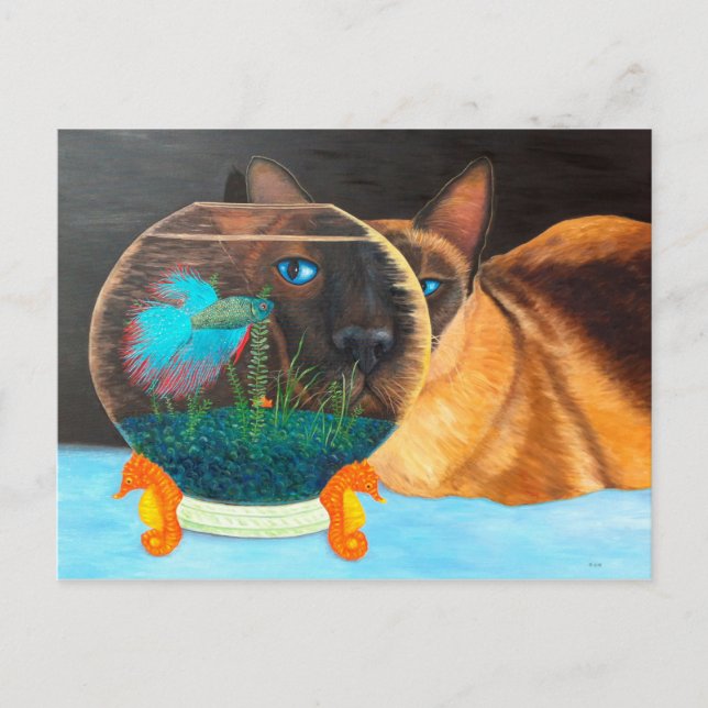 Postal Gato siamés y peces Betta (Anverso)