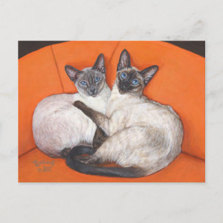 Postal Gato simpático paro siamés