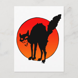 Postal Gato sindicado