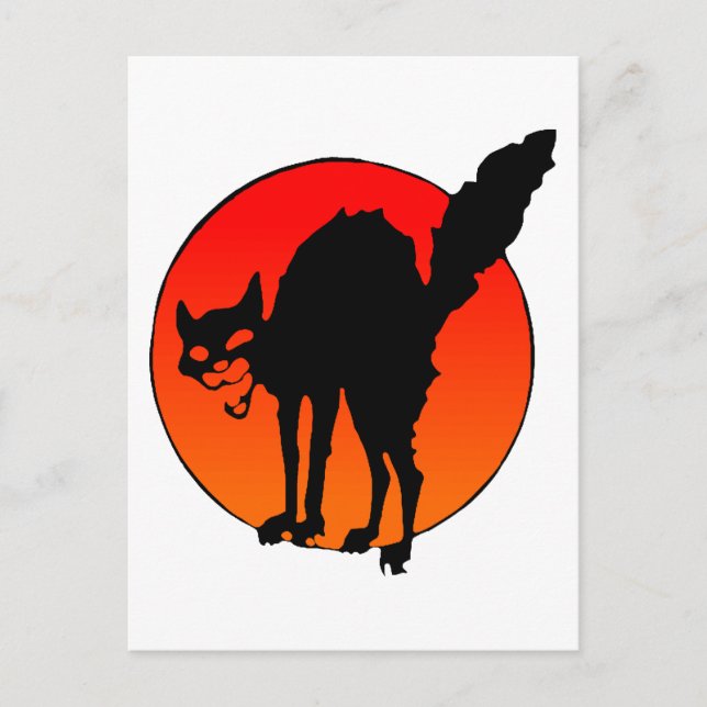 Postal Gato sindicado (Anverso)