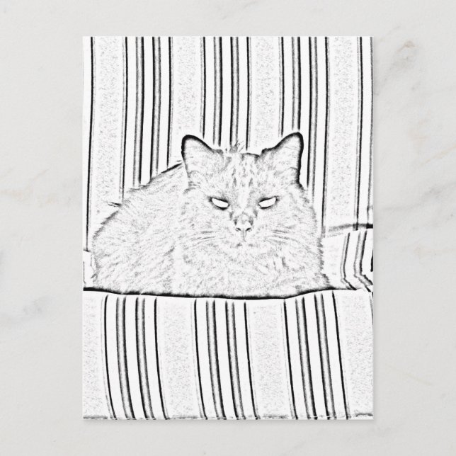 Postal - Gato sobre una silla a rayas a color (Anverso)