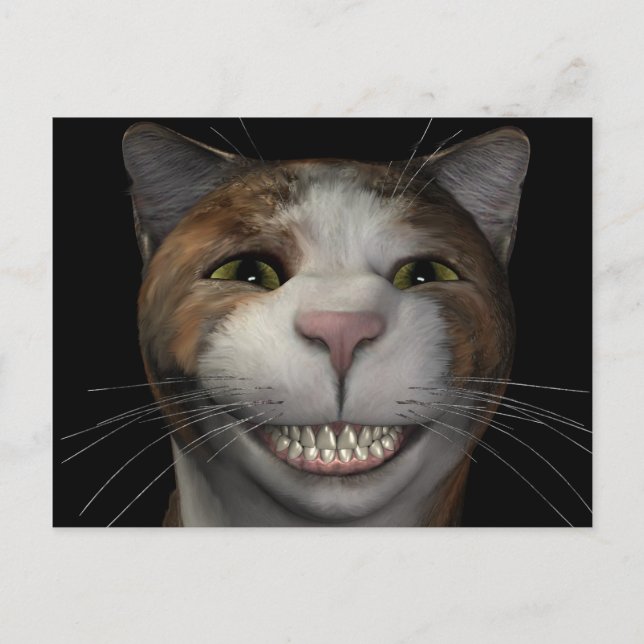 Postal Gato sonriente (Anverso)