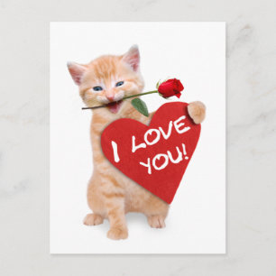 Postal Gato sonriente enamorado