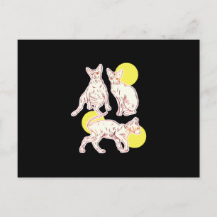 Postal Gato Sphynx