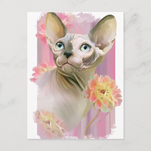Postal Gato Sphynx (Anverso)