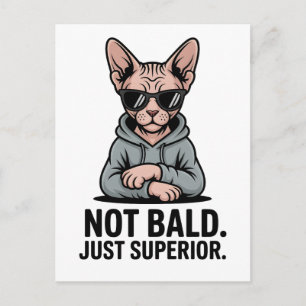 Postal Gato Sphynx Superior Actitud Sarcástica Arte